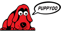 Puppyoo
