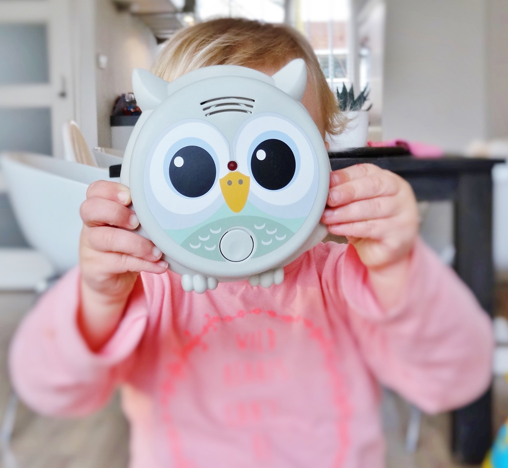 فلو كاشف الدخان بومة