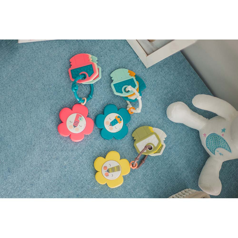 Suavinex Musical Teether, Blue