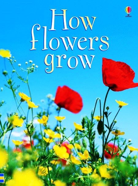 Usborne Books - Beginners: How Flowers Grow