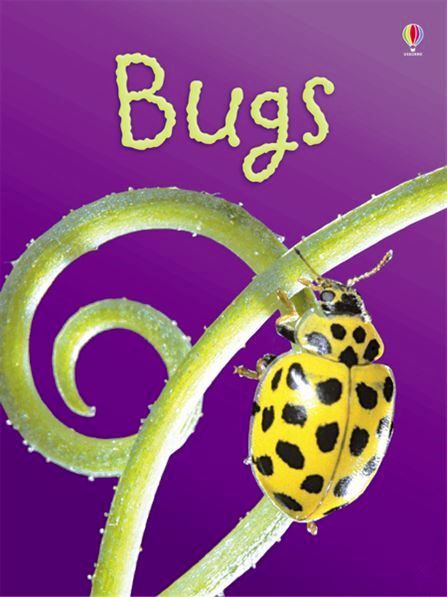 Usborne Books - Beginners - BUGS: LEVEL 1
