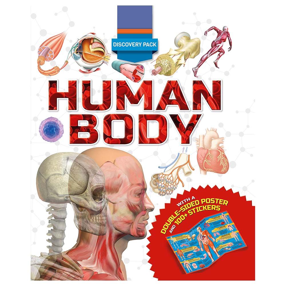 Discovery Pack: Human Body