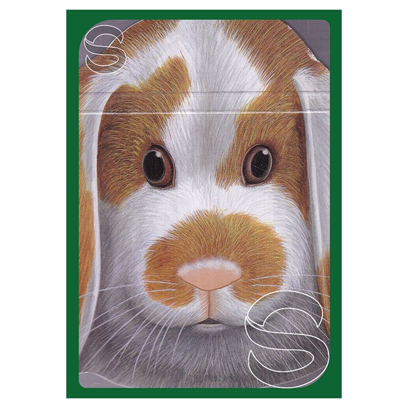 Bobo the Bunny - Animal Faces