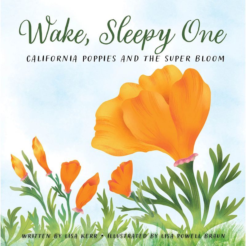 Wake, Sleepy One: California Poppies And The Super Bloom