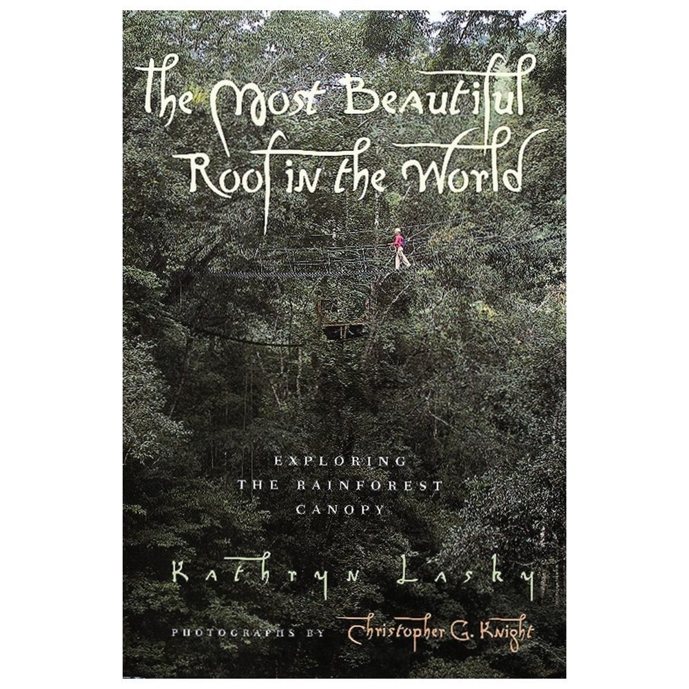 Most Beautiful Roof In The World