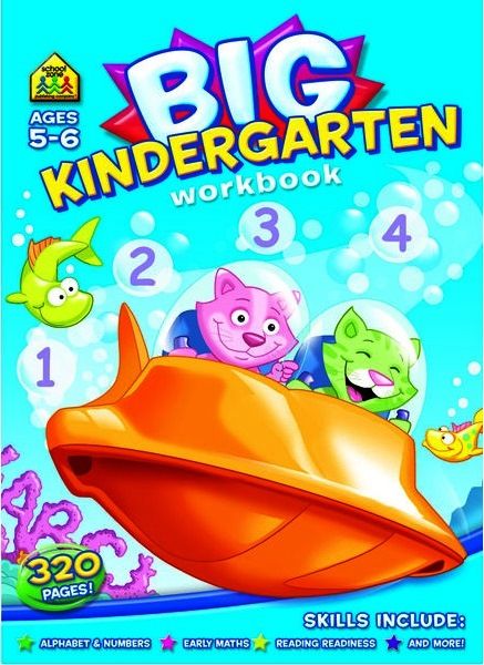 Big Kindergarten Work Book