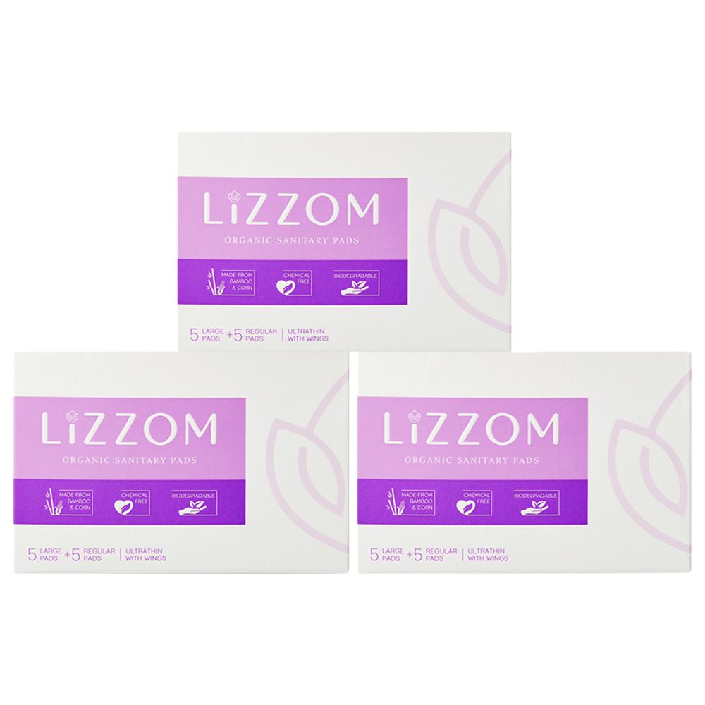 Lizzom Organic Ultrathin 15 Large Pads + 15 Regular Pads, Saver Pack of 3 (Biodegradable)
