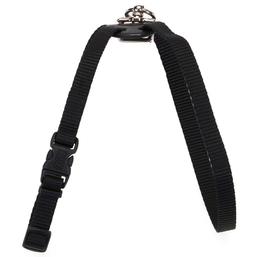 كوستال - حزام الكلاب سايز رايت 1 انش - لارج - أسود