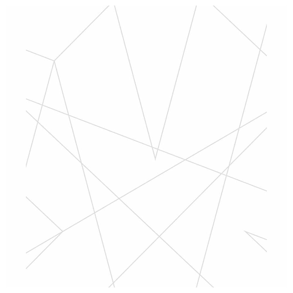 سبايدرمان - ورق حائط - شفاف