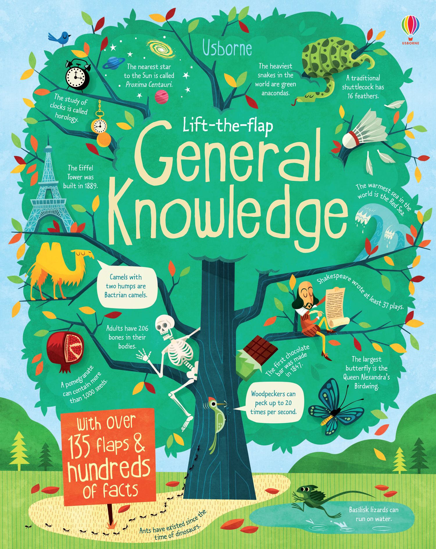 كتاب "Lift the flap General Knowledge" من كتب أسبورن